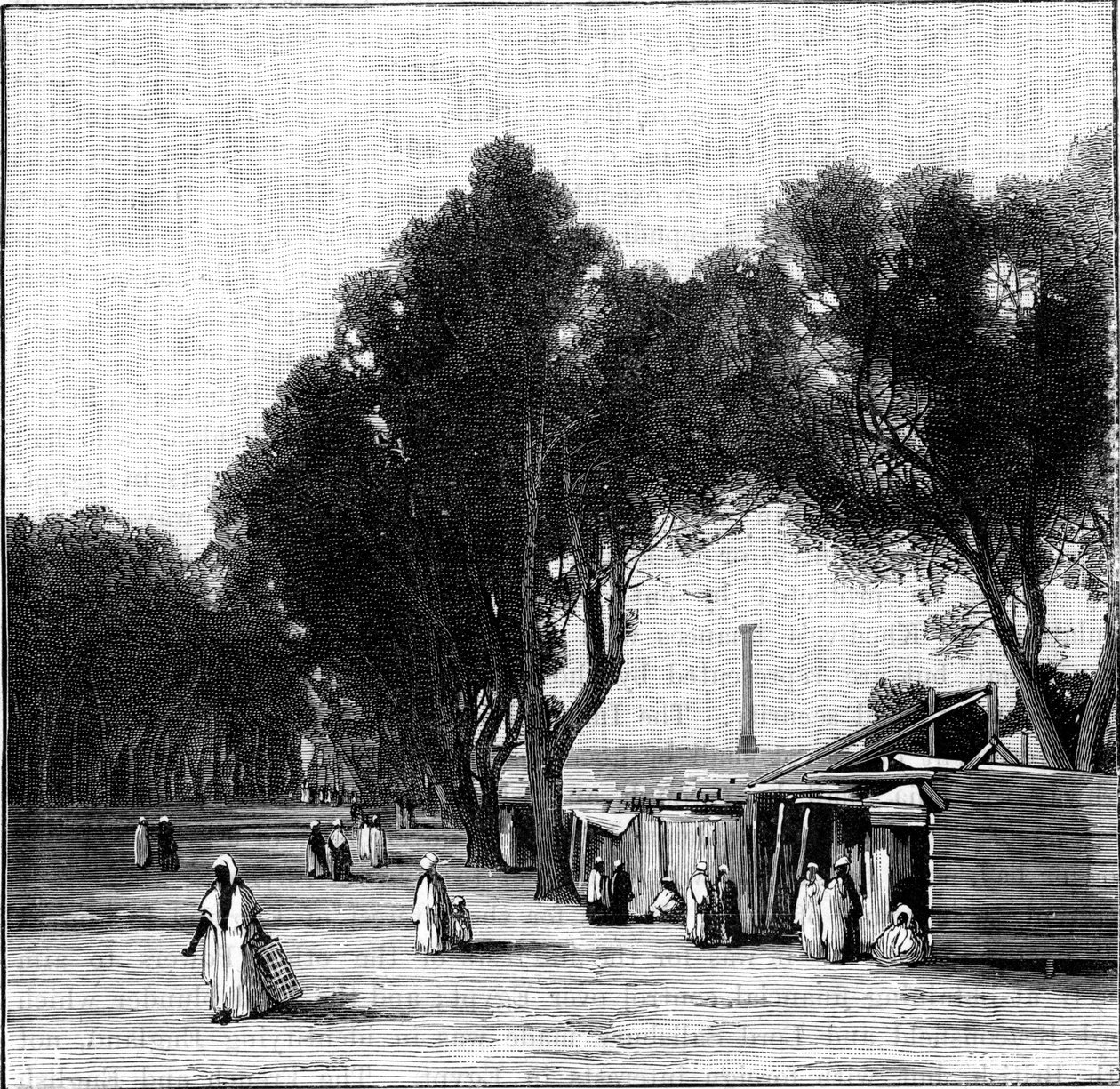 Utcai jelenet Pompeius oszlopával a távolban, Alexandria, Egyiptom, 1900 alkotó: Unbekannt