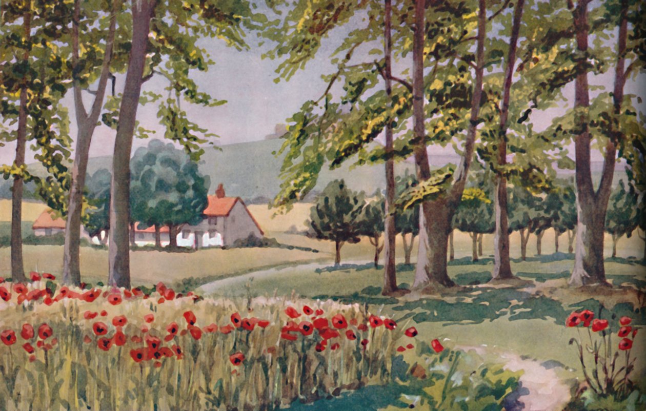 Nyár – A Nap által kiváltott fizikai, kémiai és biológiai változások az év során, 1935 alkotó: Unbekannt