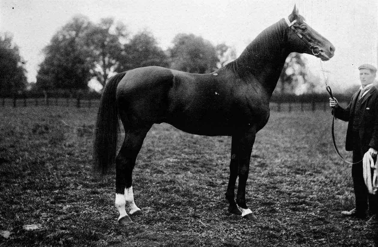 Biztos láb, 1911 alkotó: Unbekannt