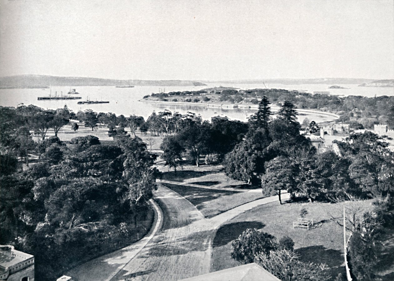 Sydney kikötője és botanikus kertje, 1900. alkotó: Unbekannt