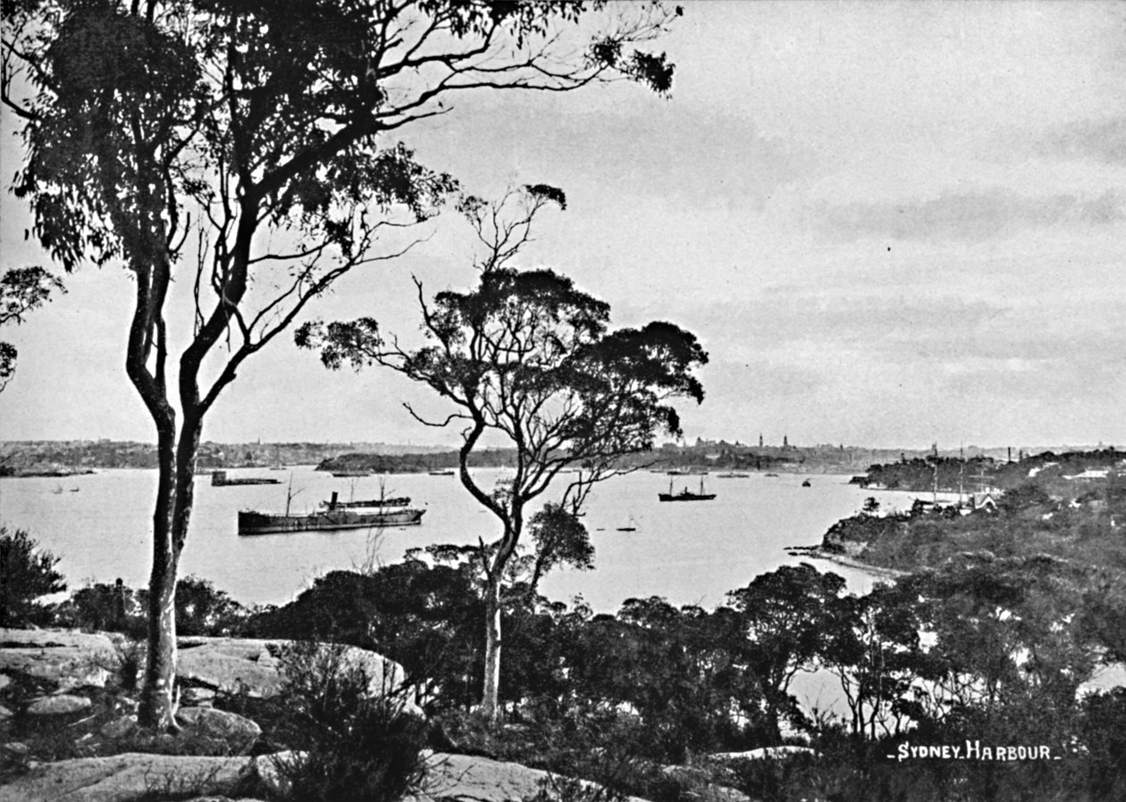 Sydney kikötője, Cremorne Pointból, 1900. alkotó: Unbekannt