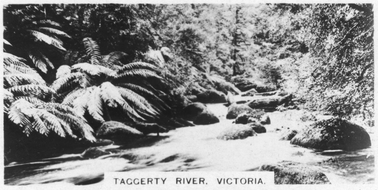 Taggerty River, Victoria, Ausztrália, 1928 alkotó: Unbekannt