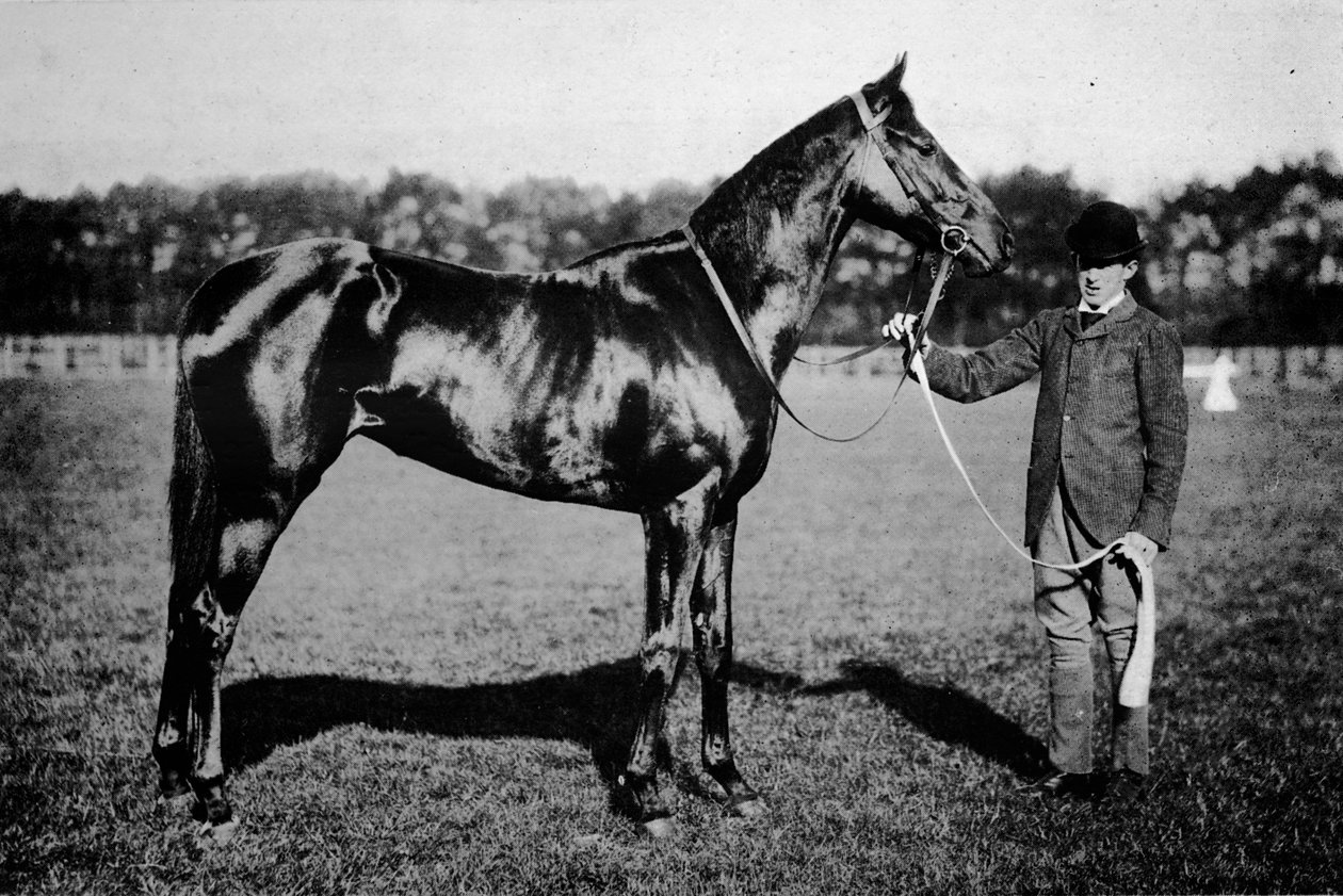 Thais, 1911 alkotó: Unbekannt