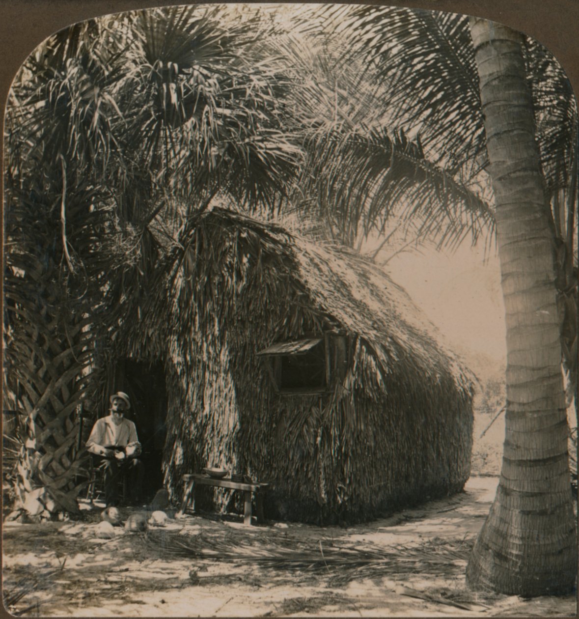 Nádfedeles kunyhó Cocoanut Grove-ban, Floridában, Amerikai Egyesült Államok, 1900 alkotó: Unbekannt