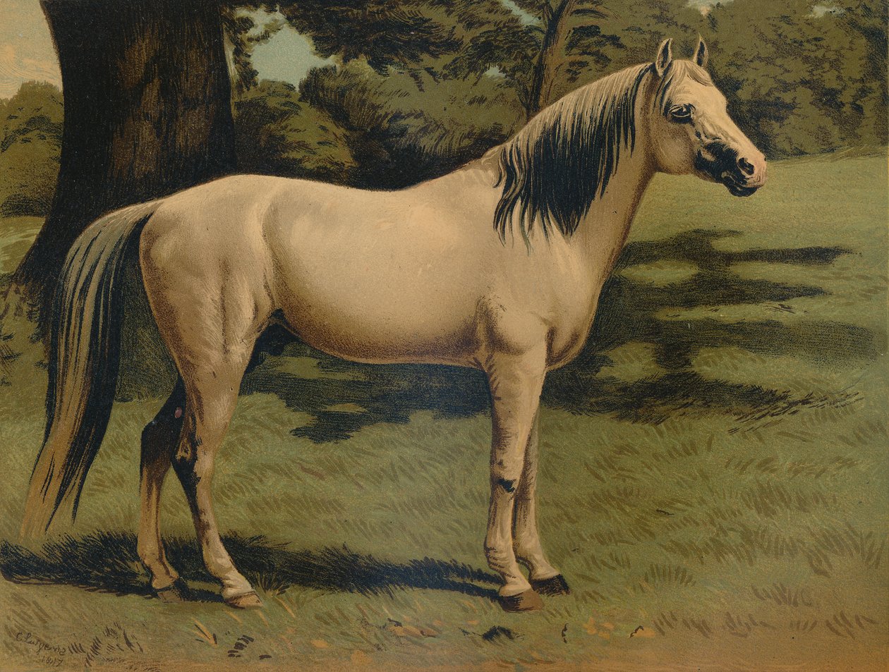 Sir Hope Grant tábornok arab pónitöltője, 1879. alkotó: Unbekannt