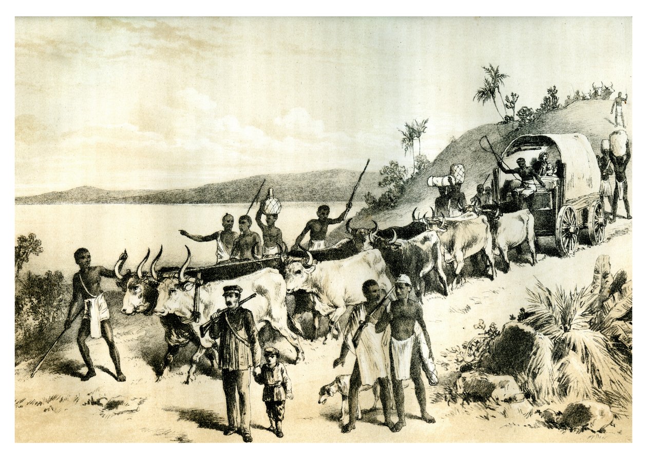 Érkezés a Ngami-tóhoz, 1883 alkotó: Unbekannt