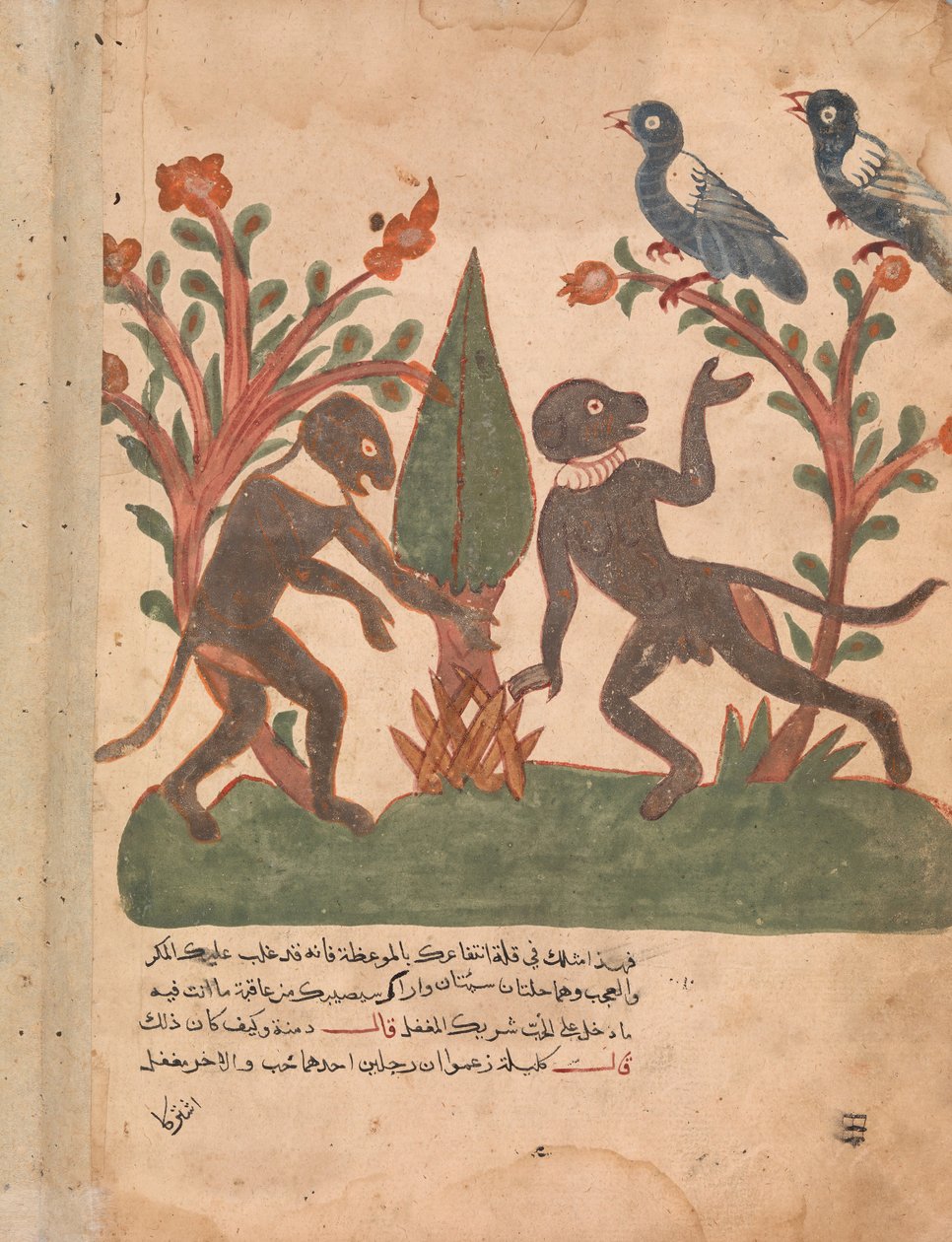 A madarak és a majmok a világító féreggel, folio egy Kalila wa Dimnából, 18. század. alkotó: Unbekannt