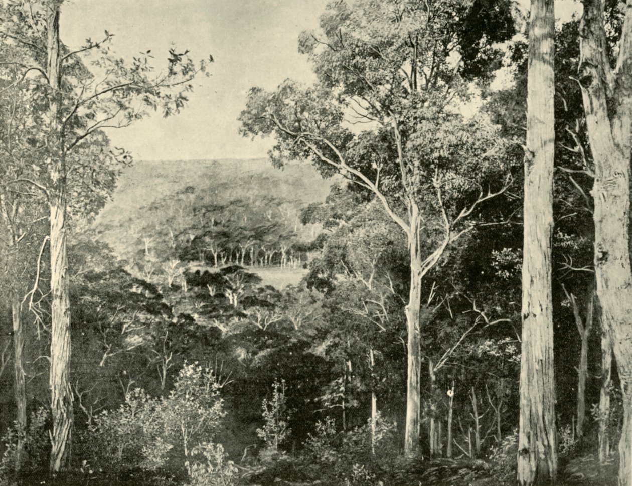 A Kék-hegység, 1901. alkotó: Unbekannt