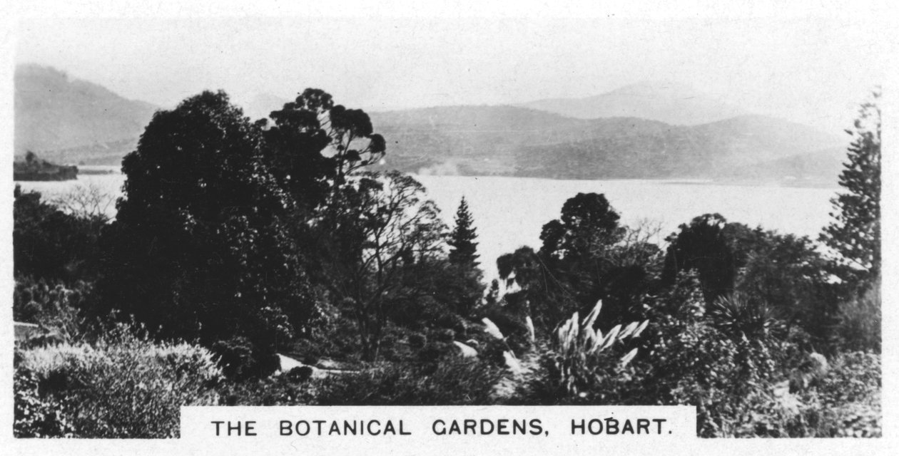 Botanikus kert, Hobart, Tasmania, 1928 alkotó: Unbekannt