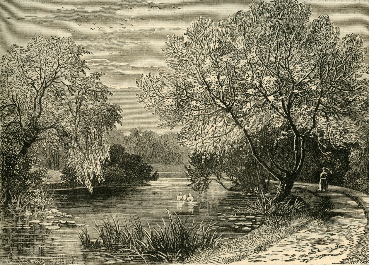 Botanikus kert, Regents Park, 1876. alkotó: Unbekannt