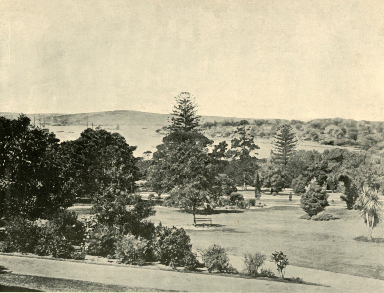 Sydney botanikus kertje, 1901. alkotó: Unbekannt