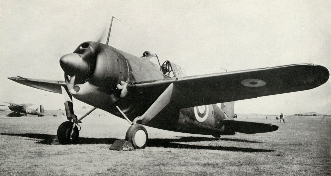 A Brewster Buffalo, 1941. alkotó: Unbekannt