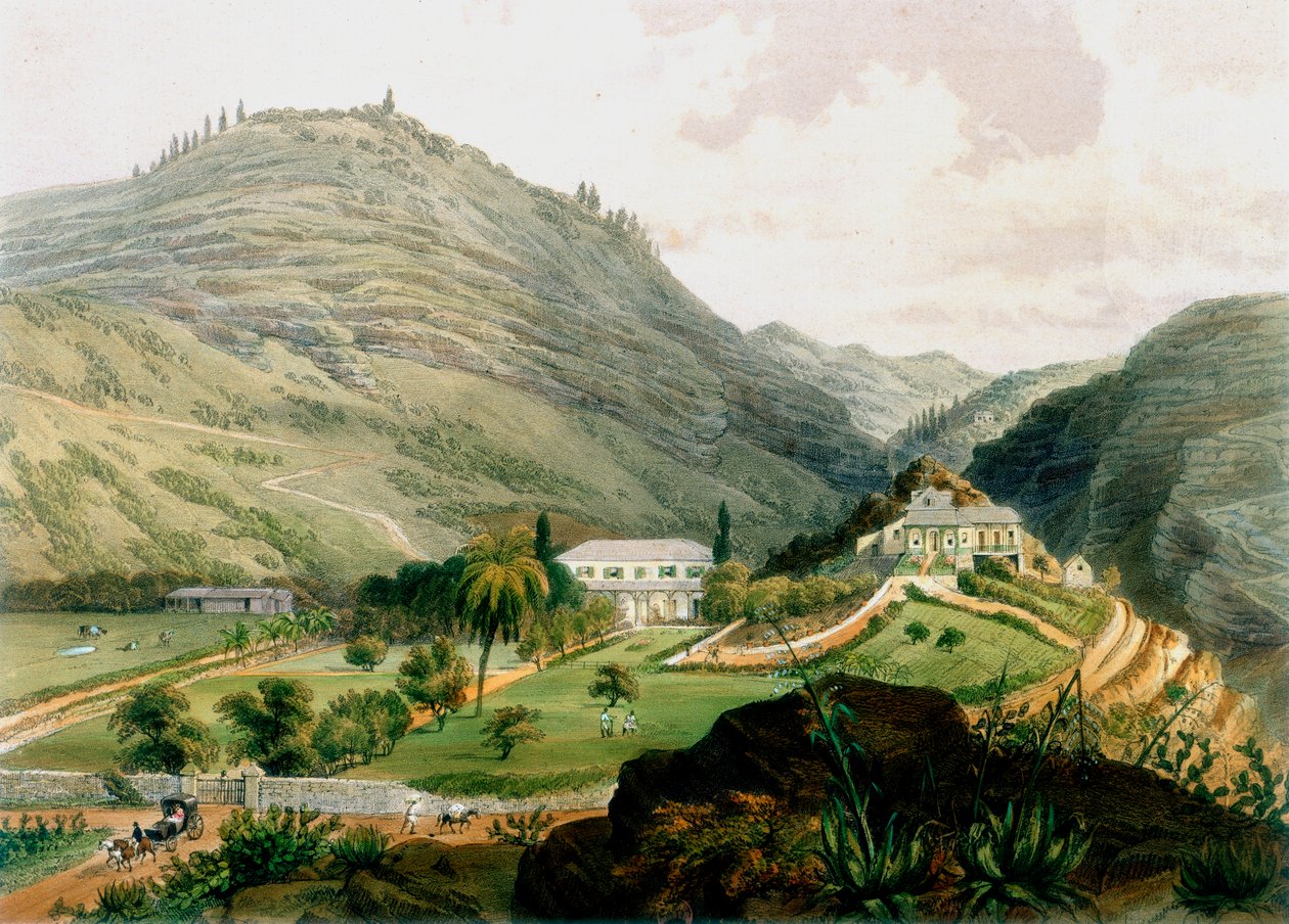 The Briars, St Helena, 19. század eleje, 1851 alkotó: Unbekannt