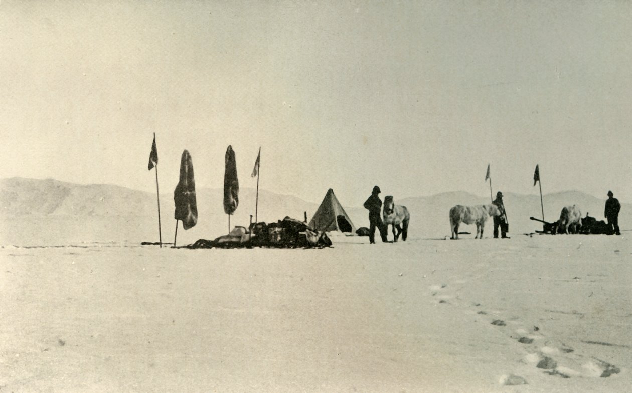 A tábor az előző legtávolabbi déli szélesség áthaladása után, 1908. november, 1909 alkotó: Unbekannt