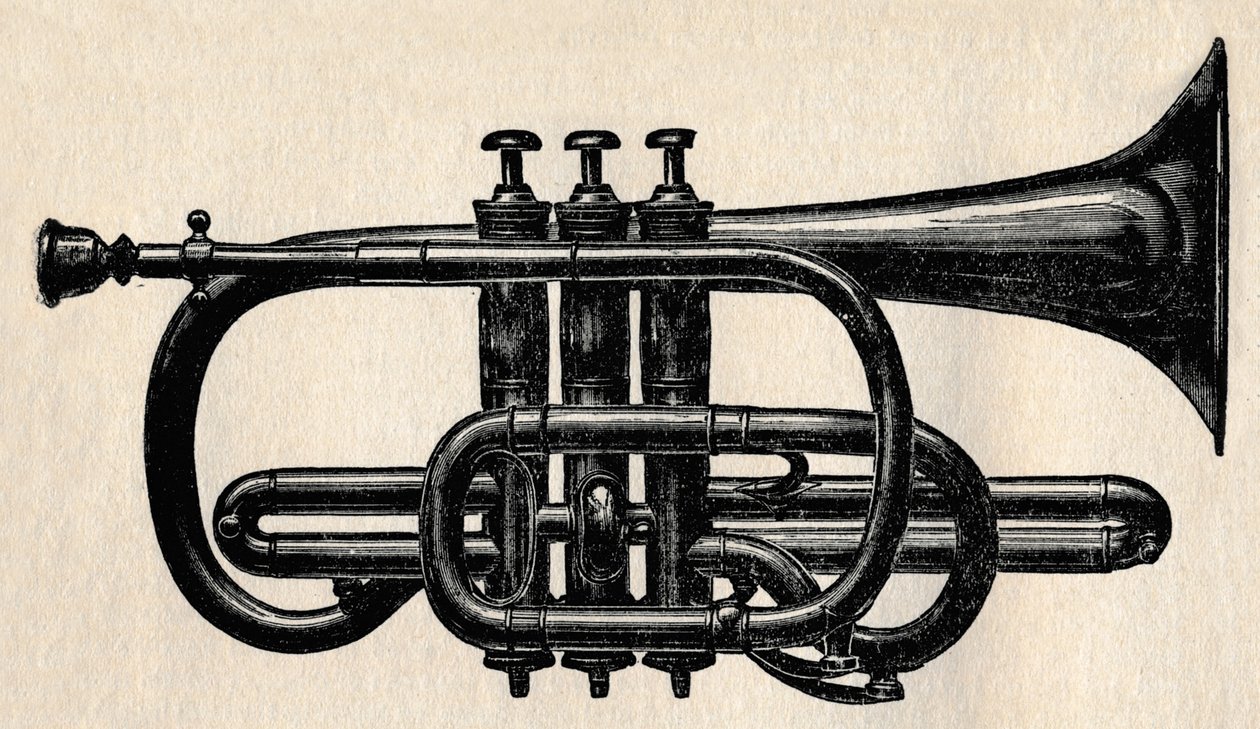A Cornet, 1910. alkotó: Unbekannt
