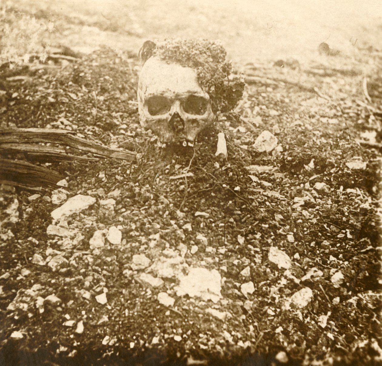 A koronaherceg, Verdun, Észak-Franciaország, 1916 alkotó: Unbekannt