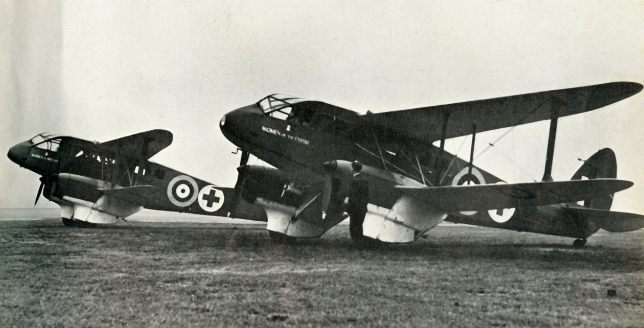A De Havilland mentőautó, 1941. alkotó: Unbekannt