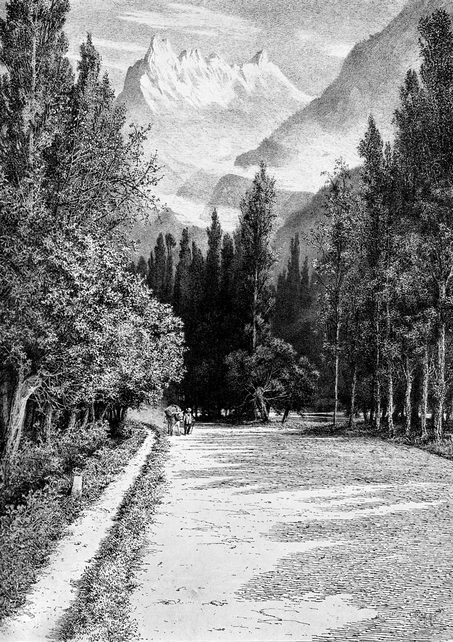 A Dent du Midi a Rhone völgyéből, 1900 alkotó: Unbekannt
