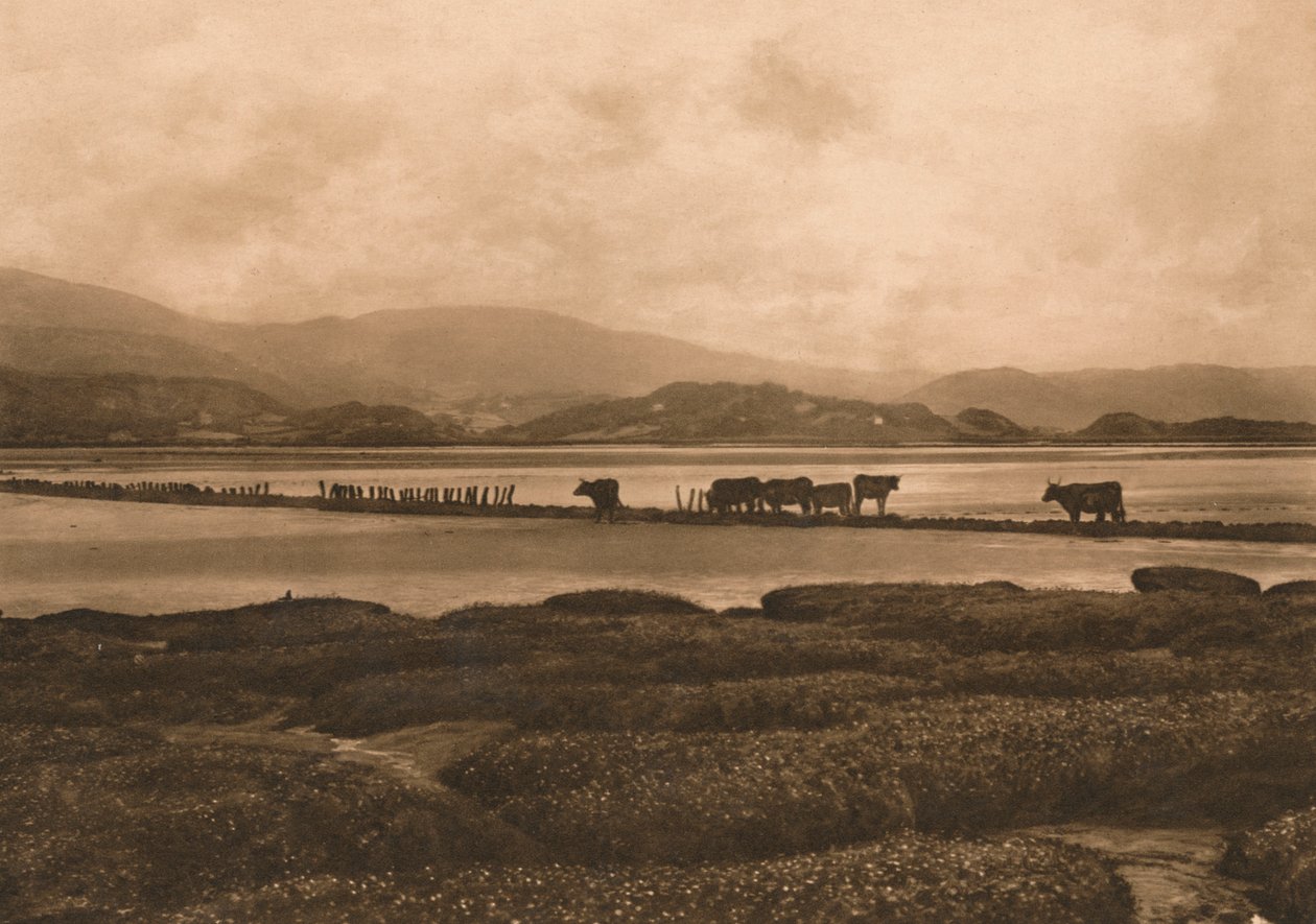 The Dovey at Ynyslas, 1902 alkotó: Unbekannt