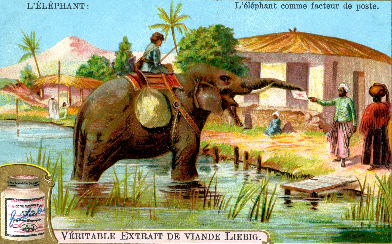 Az elefánt mint postás, c1900 alkotó: Unbekannt