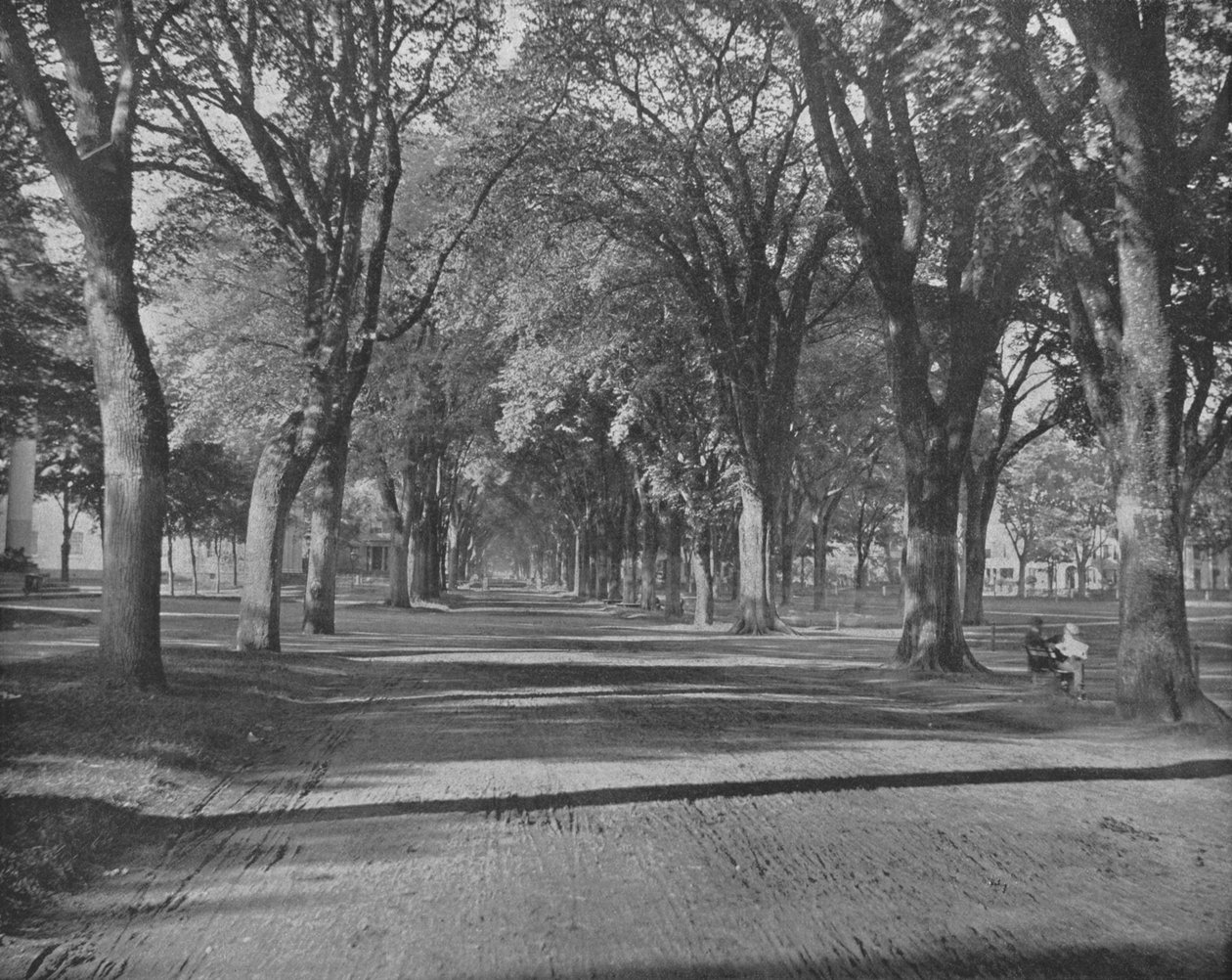 The Elms, New Haven, Connecticut, USA, 1900. alkotó: Unbekannt