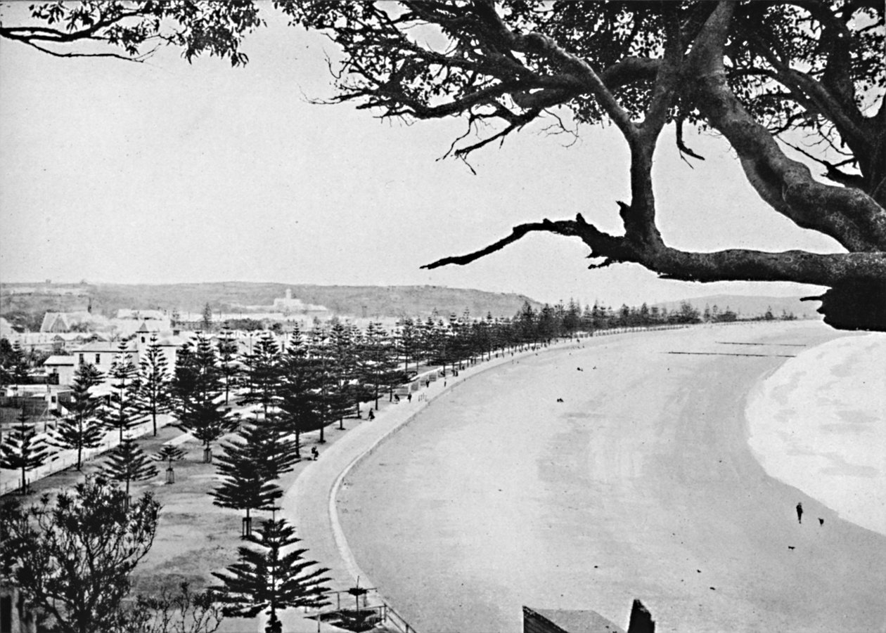 The Esplanade, Manly Beach, 1900. alkotó: Unbekannt