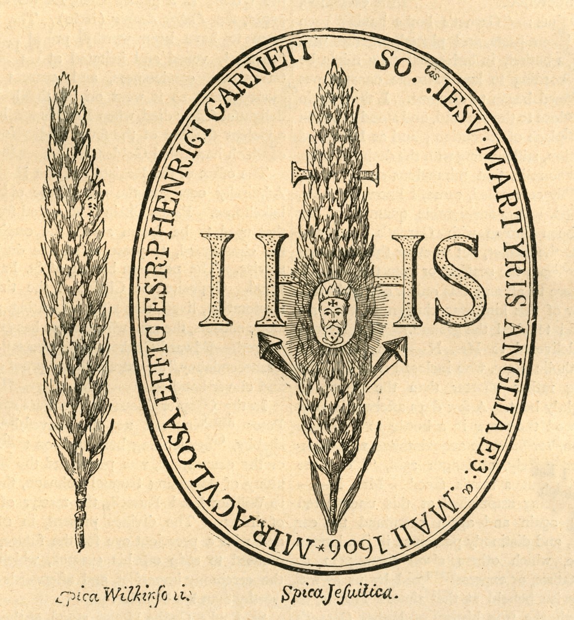 Az arc a szalmában. - Abbots Anthologia-ból, 1613, 1897. alkotó: Unbekannt