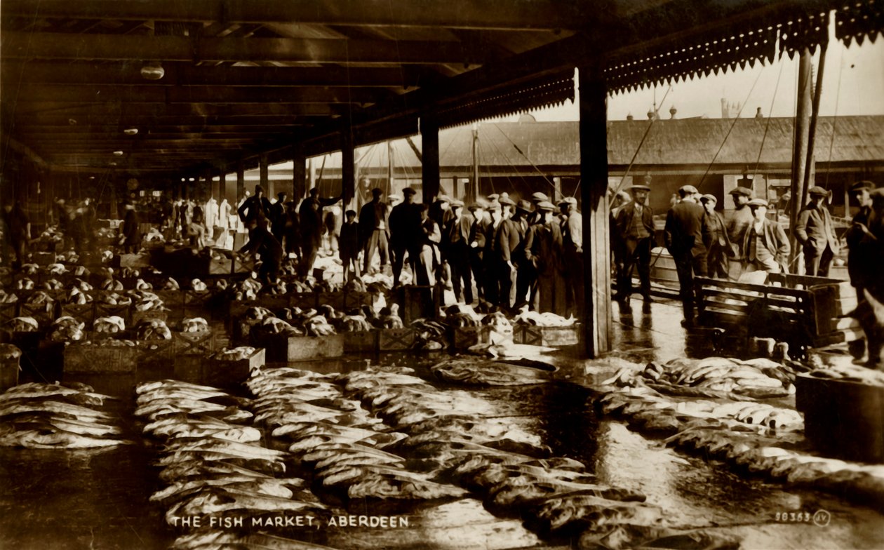 A halpiac, Aberdeen, 19. század vége – 20. század eleje. alkotó: Unbekannt