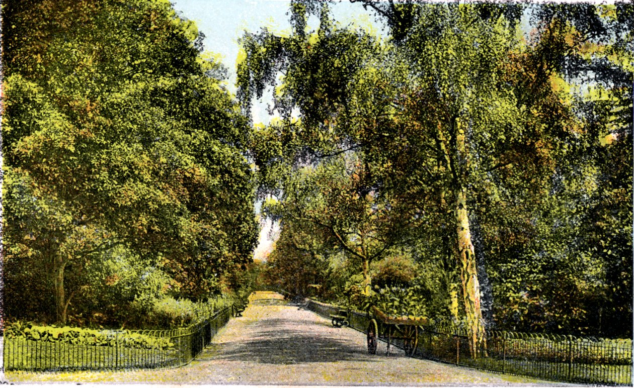 The Flower Walk, Kensington Gardens, London, XX. század alkotó: Unbekannt