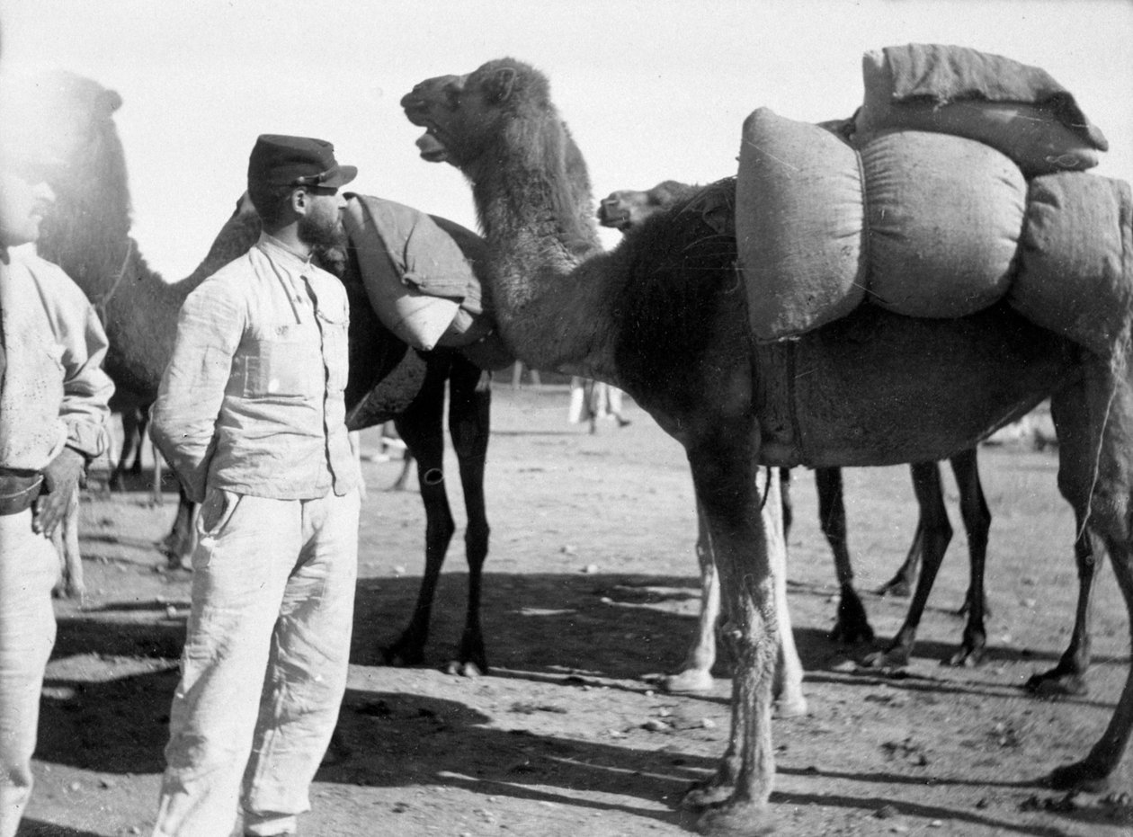 A francia idegenlégió manőverekről, Boudenib, Marokkó, 1911 alkotó: Unbekannt