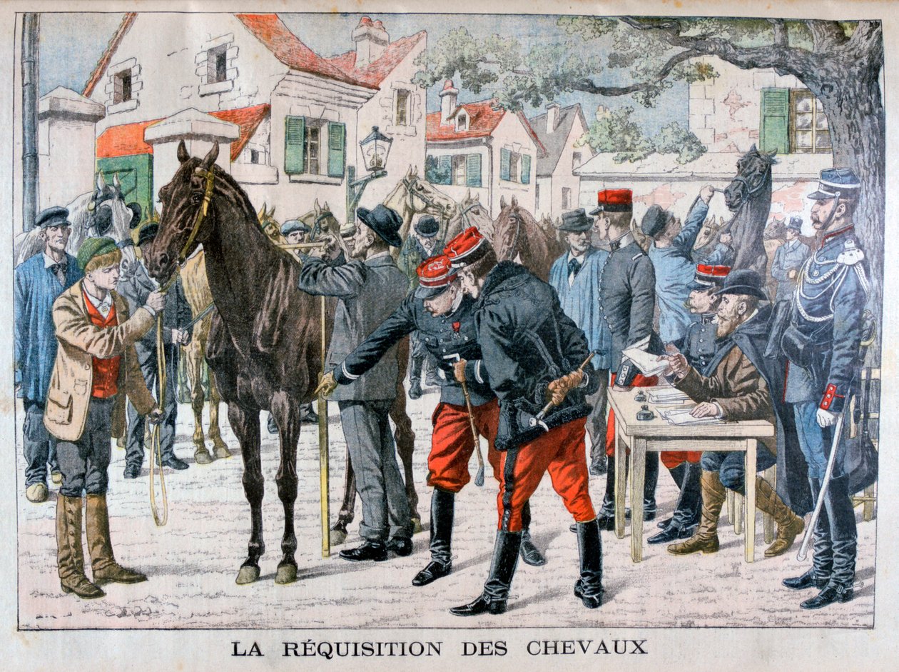 A francia hadsereg lovakat vásárol, 1904 alkotó: Unbekannt