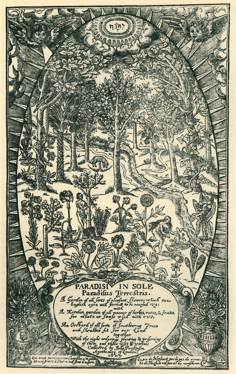 Édenkert, 1629, 1944. alkotó: Unbekannt