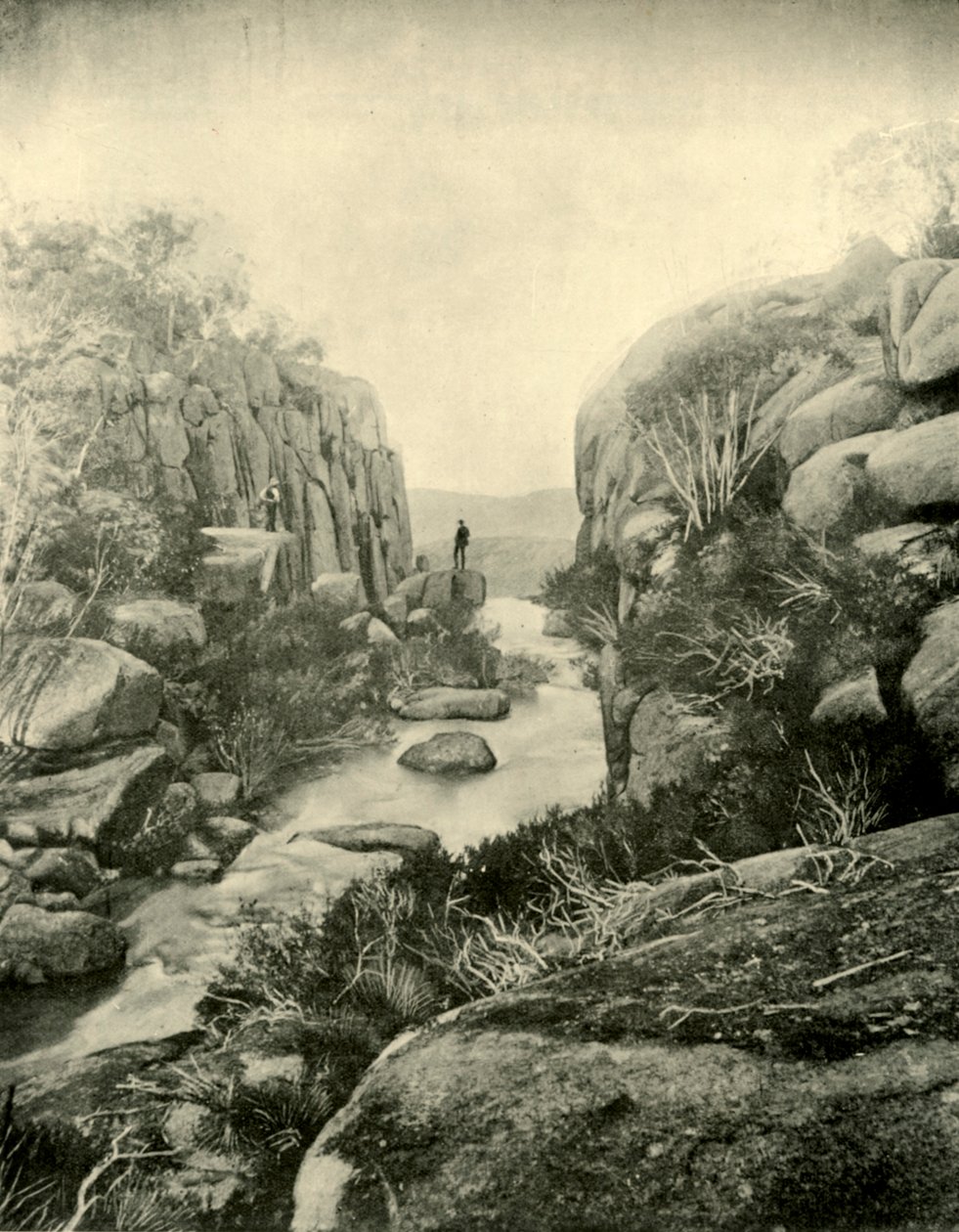 The Gorge, Buffalo Falls, Viktoriánus Alpok, 1901. alkotó: Unbekannt