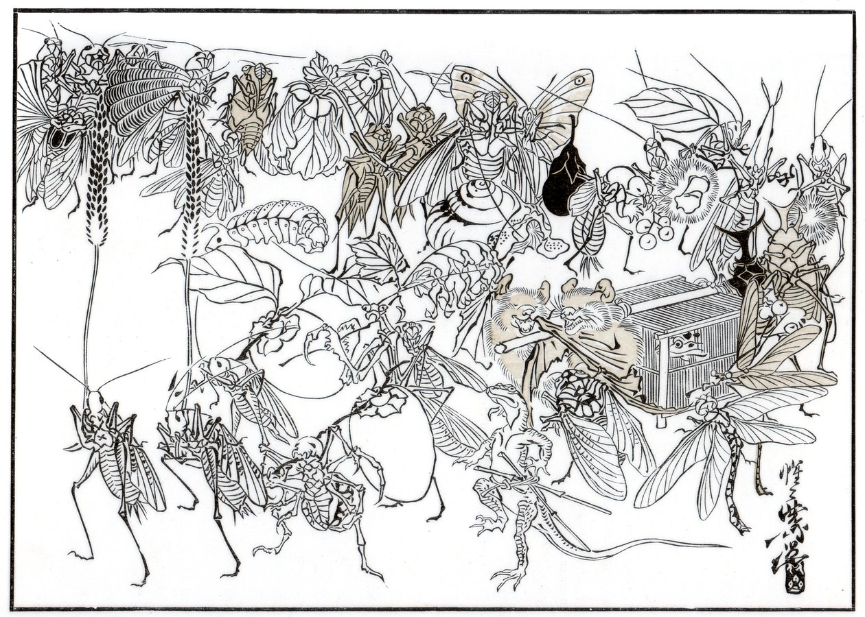 The Insect Daimio Cortege, 1878-1886 alkotó: Unbekannt