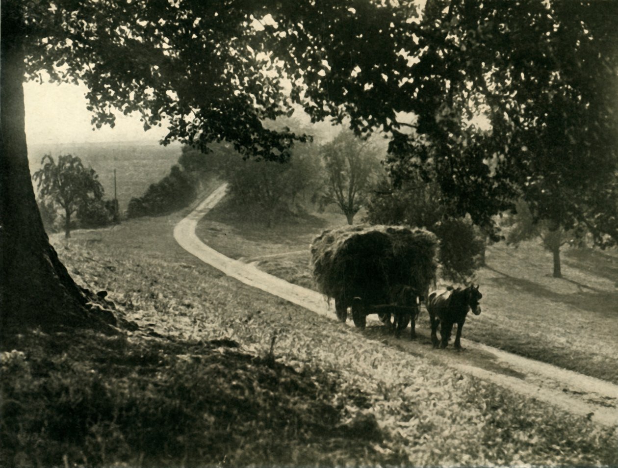 Az utolsó rakomány, 1936. alkotó: Unbekannt