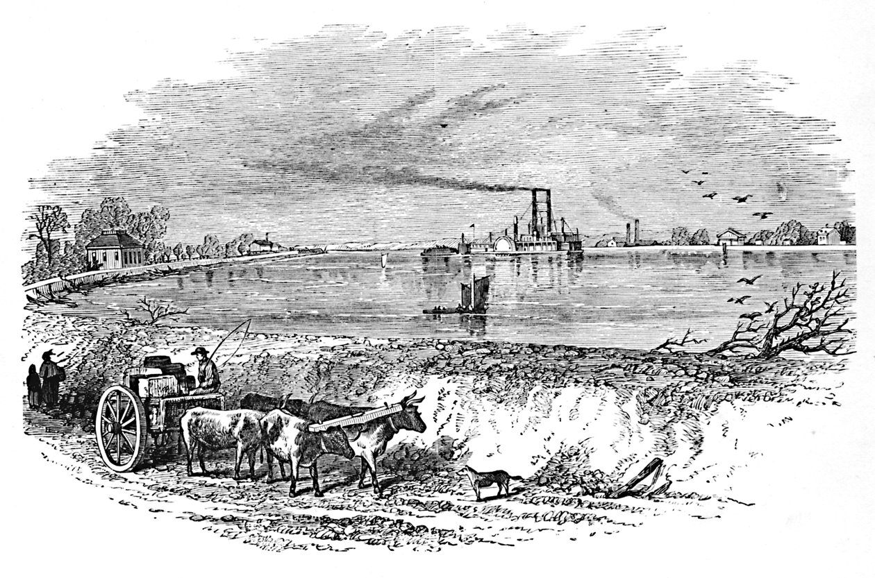 A töltés, 1883 alkotó: Unbekannt