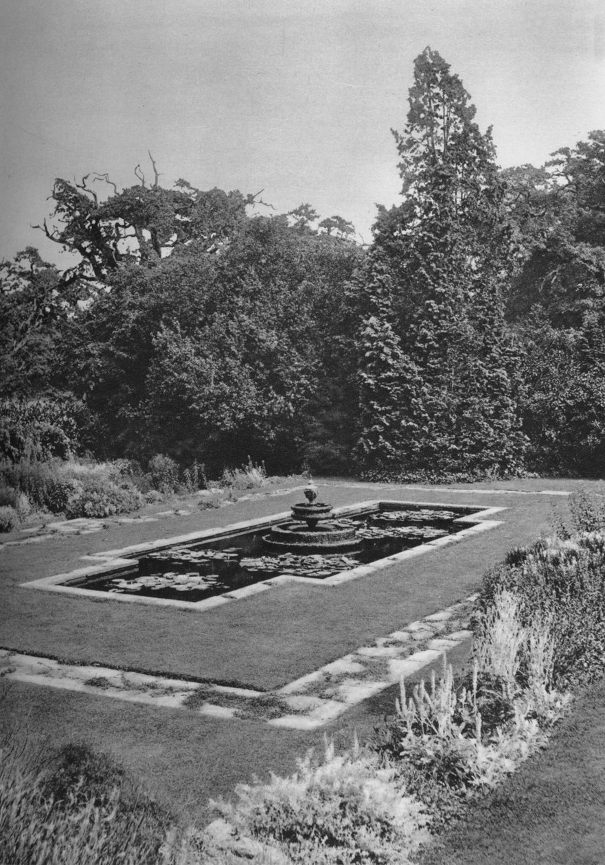 The Lily Basin, The White Lodge, Richmond, 1926 alkotó: Unbekannt