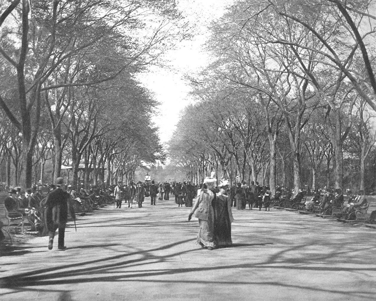 The Mall, Central Park, New York, USA, 1900. alkotó: Unbekannt
