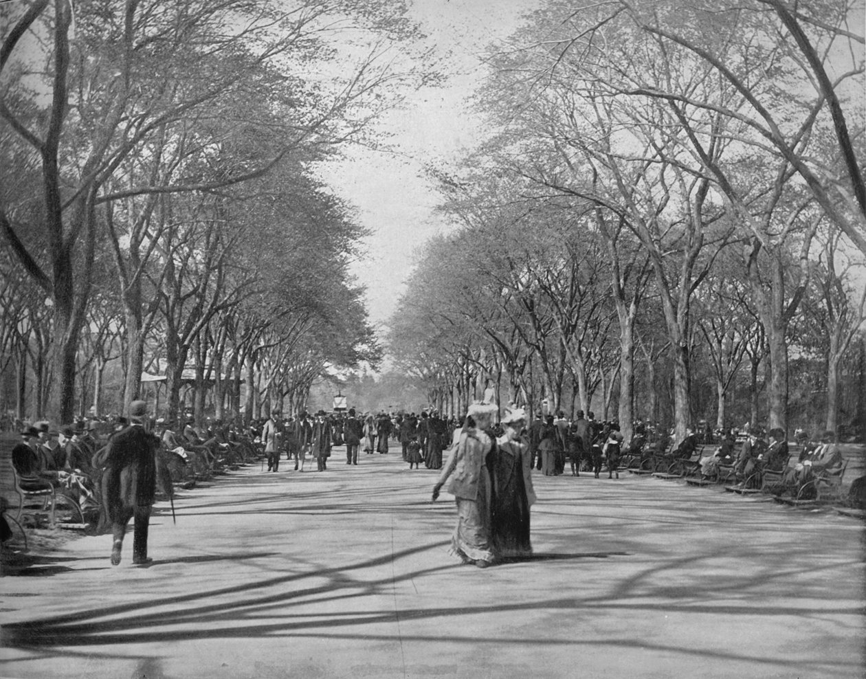 The Mall, Central Park, New York, 1897. alkotó: Unbekannt