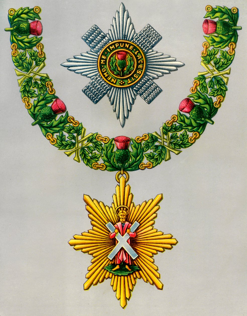 A legnemesebb és legősibb bogáncsrend, 1941 alkotó: Unbekannt