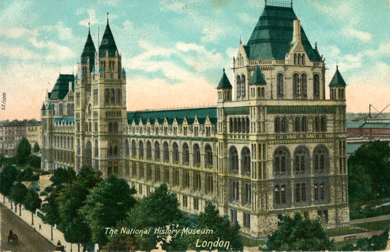 A National History Museum, London, 1910. alkotó: Unbekannt