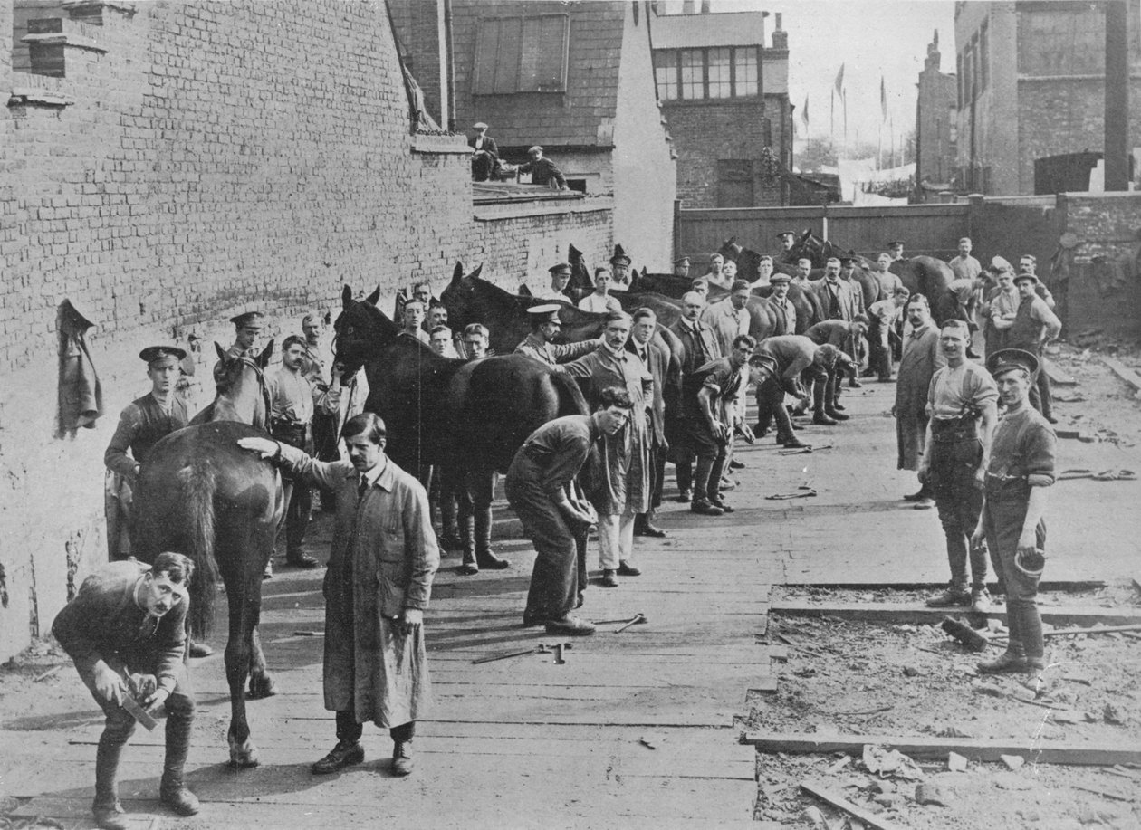 Az Új Hadsereg kiképzésben a Farriers Iskolában, 1915 alkotó: Unbekannt