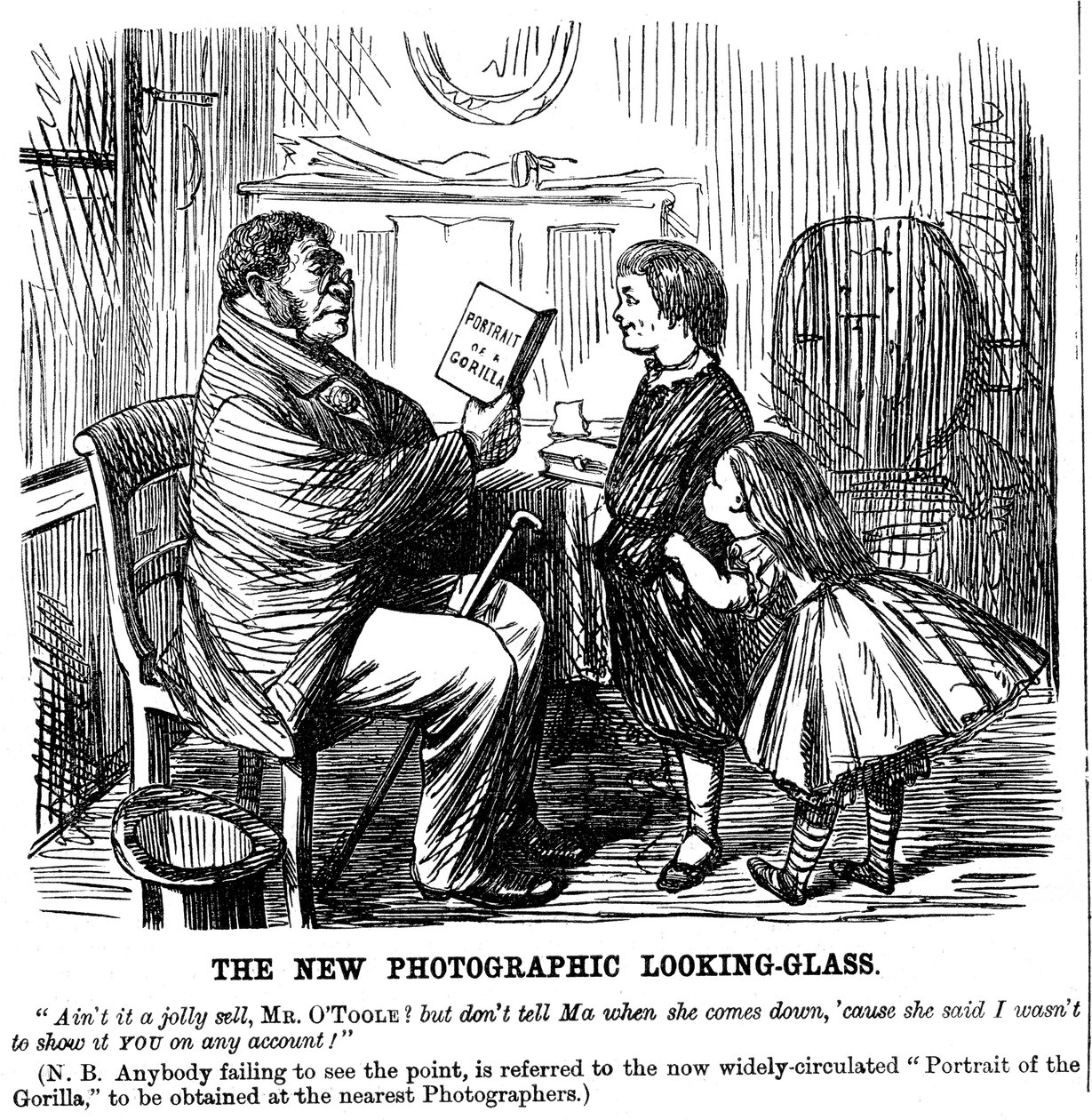 The New Photographer Looking Glass, rajzfilm a Punchból, mindennapi bizonyíték az ember eredetére, 1861 alkotó: Unbekannt