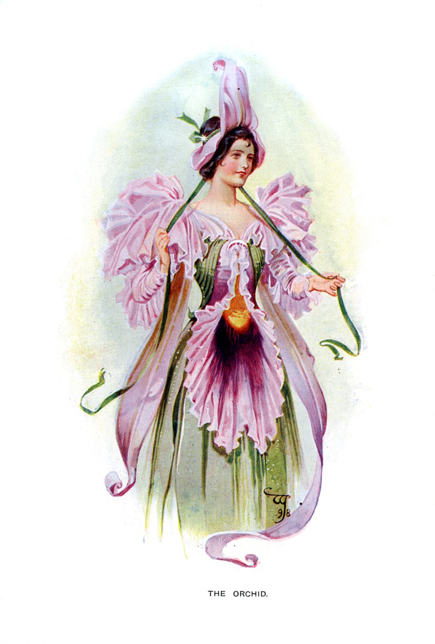Az orchidea, 1899 alkotó: Unbekannt