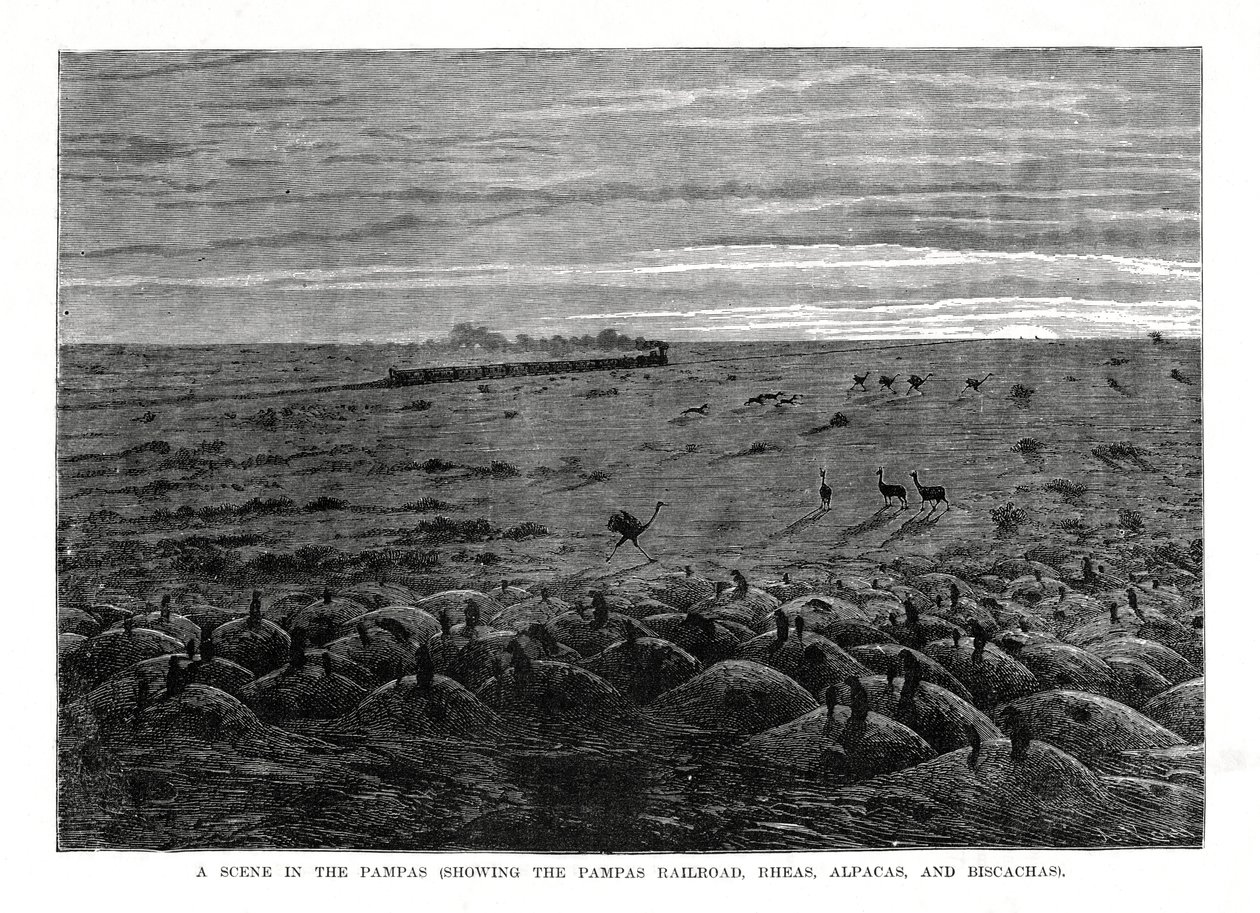 Pampas vasút, dél-amerikai alföld, 1877 alkotó: Unbekannt