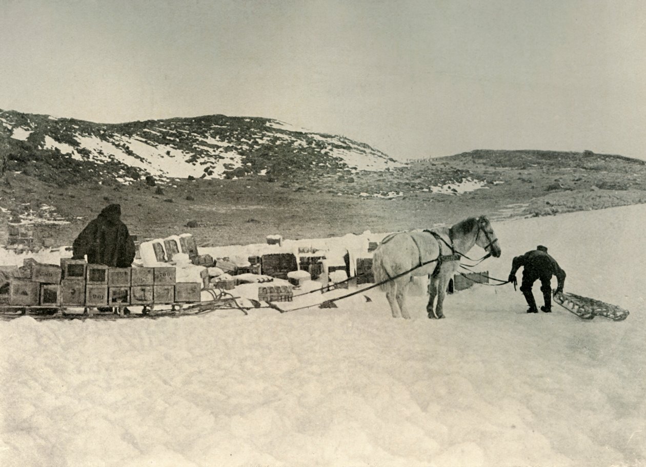 A Pont Quan egy rakomány szánkót készül húzni, c1908, 1909 alkotó: Unbekannt