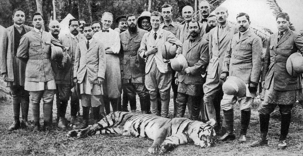 A walesi herceg tigrislövése Nepálban, az indiai körút, 1921 alkotó: Unbekannt
