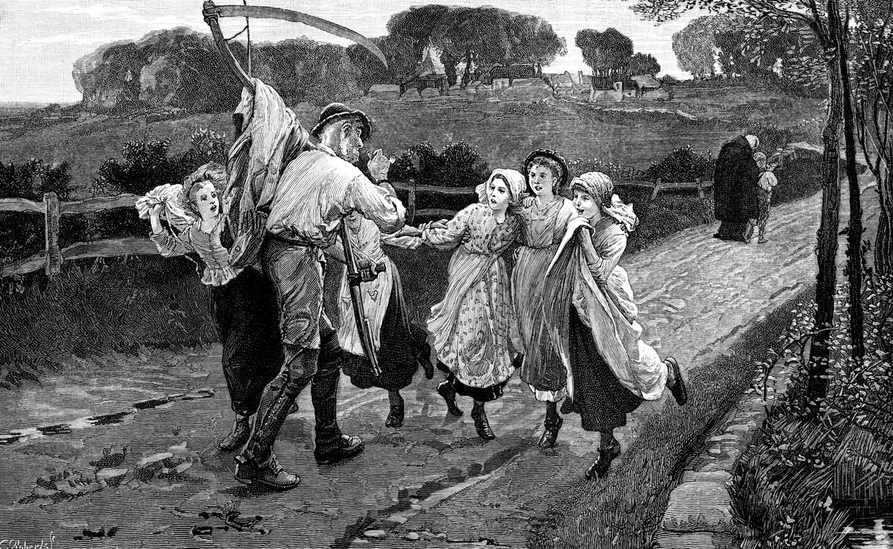 A Kaszás és a virágok, 1882 alkotó: Unbekannt