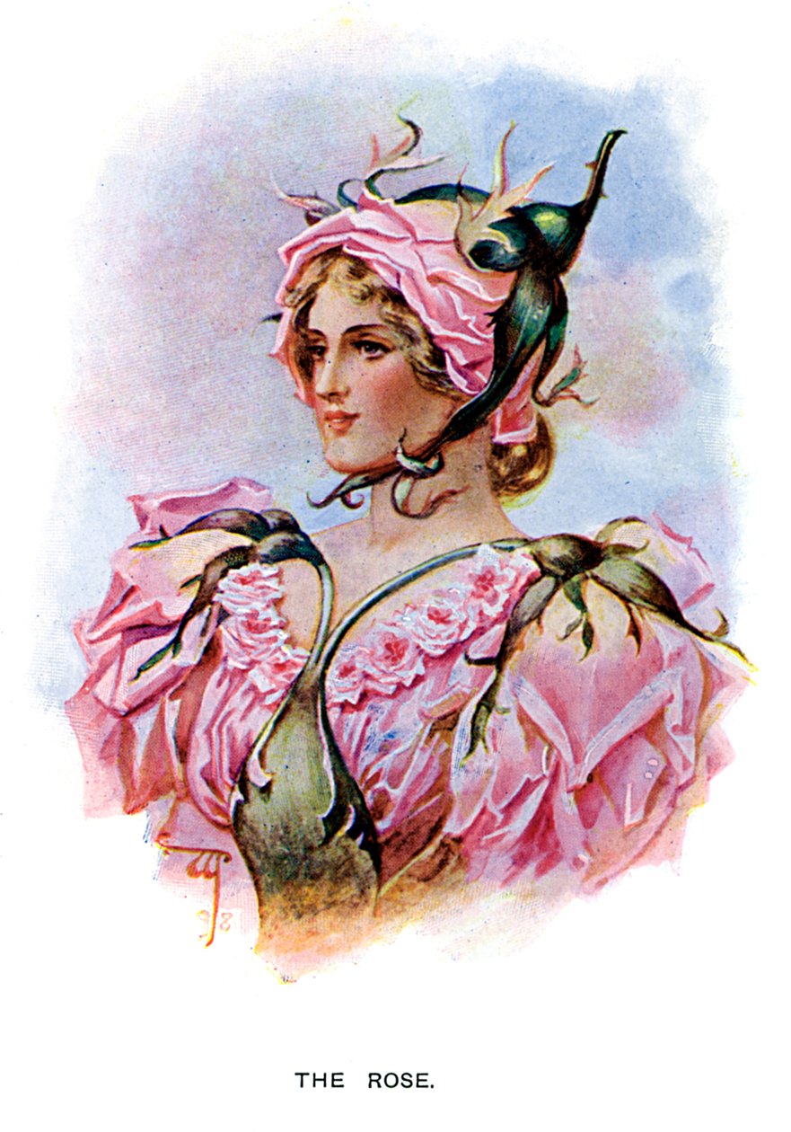 A rózsa, 1899 alkotó: Unbekannt