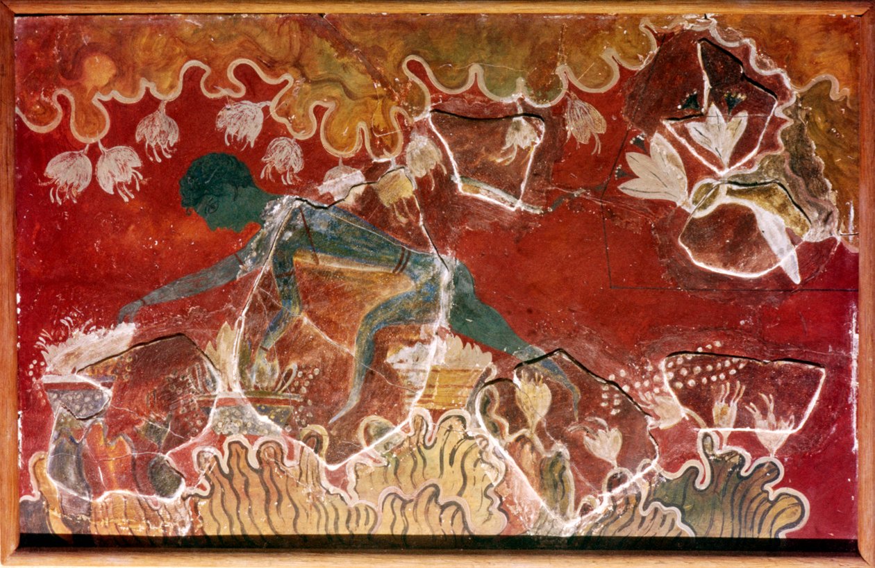 A sáfránygyűjtő freskó a minószi királyi palotából, Knossos, Kréta. Kr.e. 15. század alkotó: Unbekannt